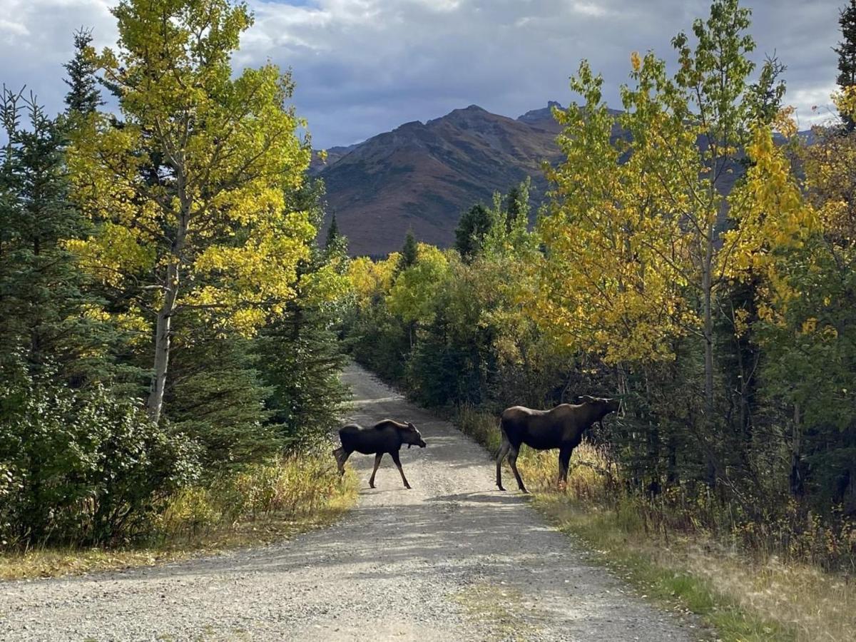 Denali Park View Family Log Cabin Exterior foto